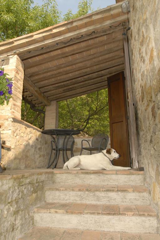 Podere Monte Petreto San Savino  Kamer foto