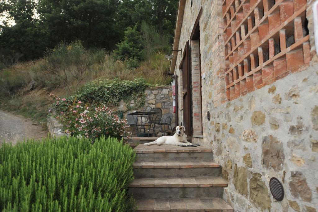 Podere Monte Petreto San Savino  Kamer foto