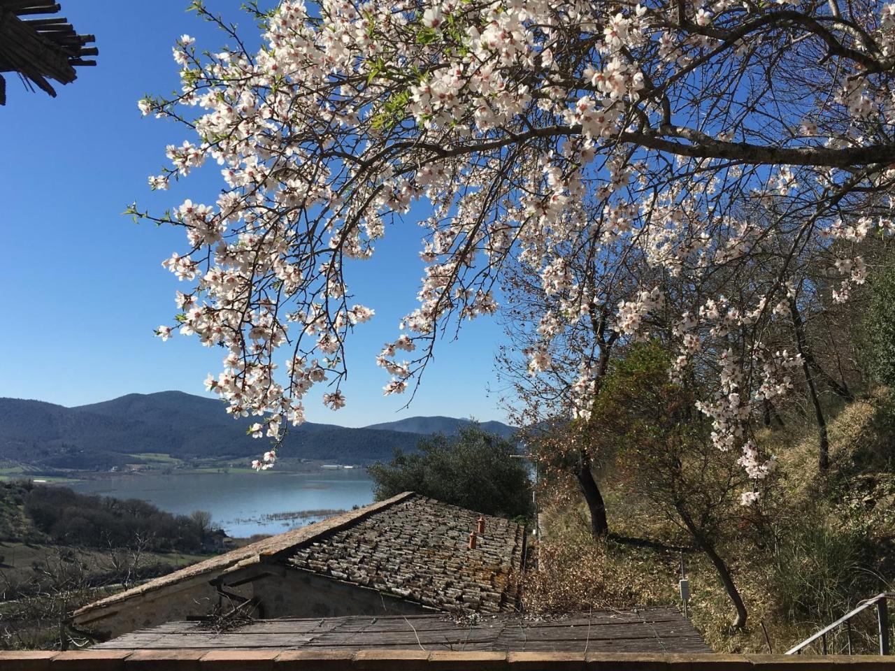 Podere Monte Petreto San Savino  Buitenkant foto